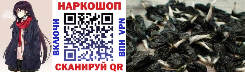 Купить наркотики Пугачёв Кокаин Галлюциногенные грибы ГАШ