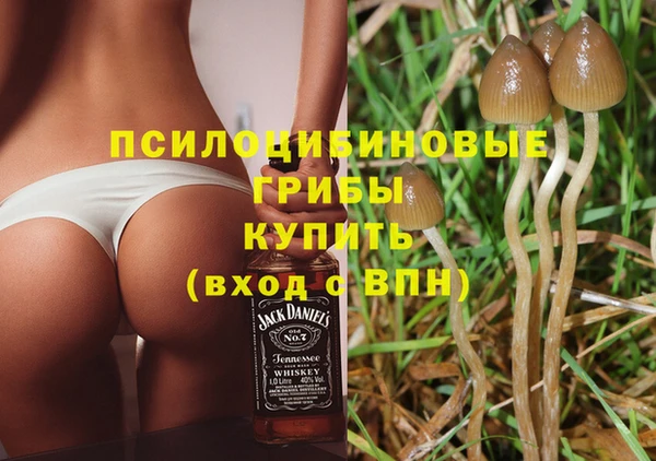прущая мука Армянск