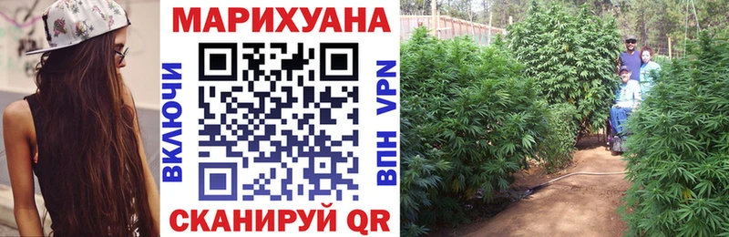 Каннабис AK-47 Пугачёв